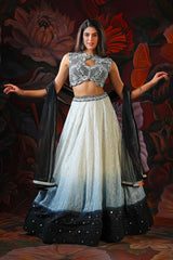 White and Black Ombre Lehenga With white Embroidery Top