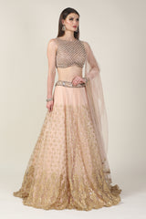 PEACH PEARL TOP WITH GOLDEN ZARI SKIRT