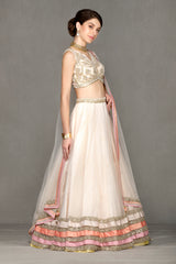 Lehenga with Net Skirt and Heavy Top