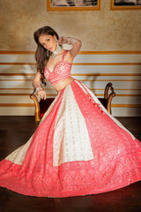 Beautiful Chicken embroidered skirt with hand embroidered top
