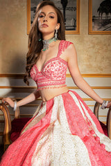 Beautiful Chicken embroidered skirt with hand embroidered top