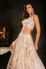 Sequin Embroidered top and skirt