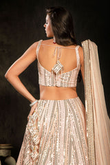 Sequin Embroidered top and skirt
