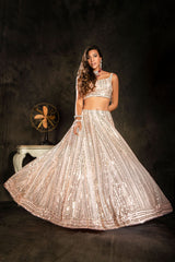 Sequin Embroidered top and skirt