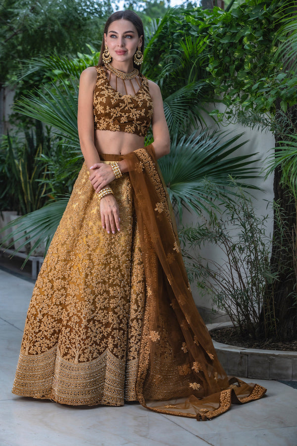 Light Golden and dark golden Ombre Lehenga