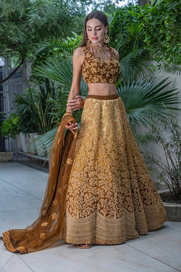 Light Golden and dark golden Ombre Lehenga