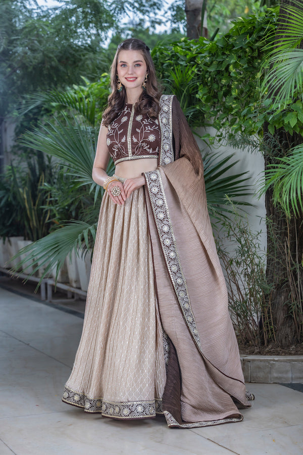 Light Brown Lehenga with dark brown top