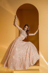 Peach Nude enbroidered top with Skirt