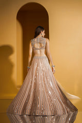 Peach Nude enbroidered top with Skirt