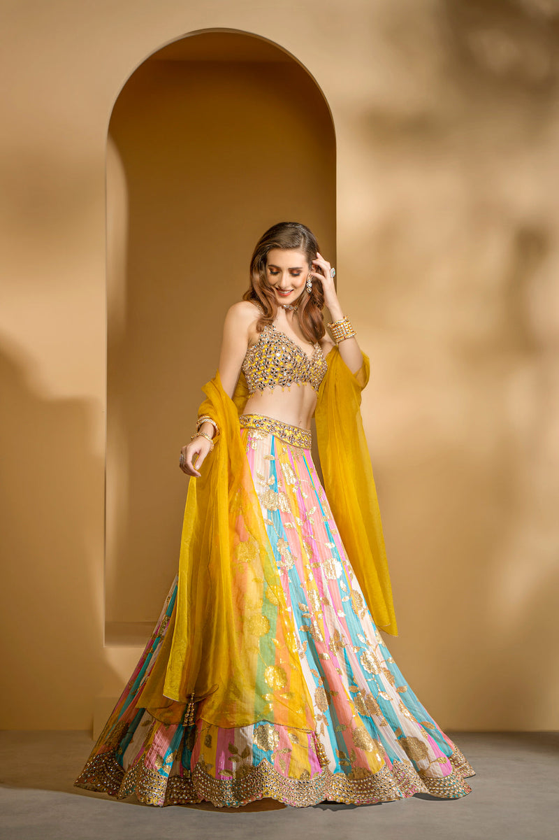 Multicolored Skirt with embroidered top