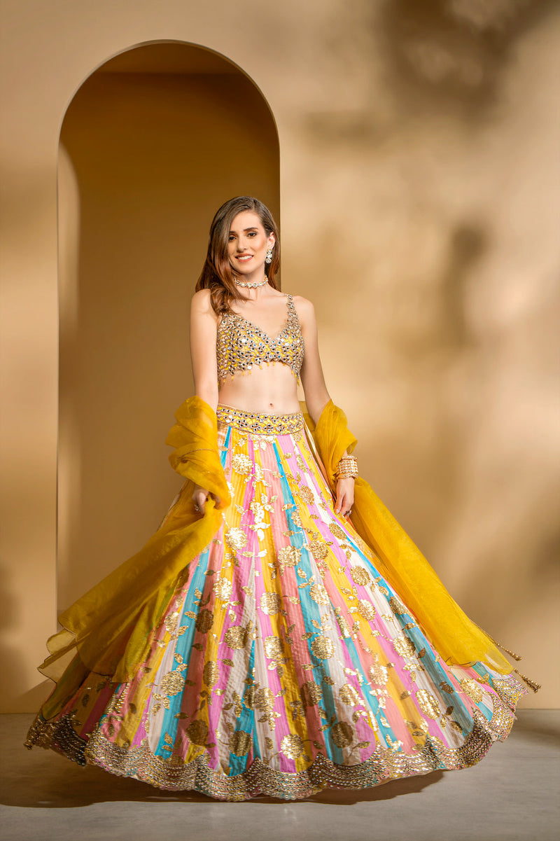 Multicolored Skirt with embroidered top
