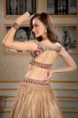 Embroidered Top with Skirt