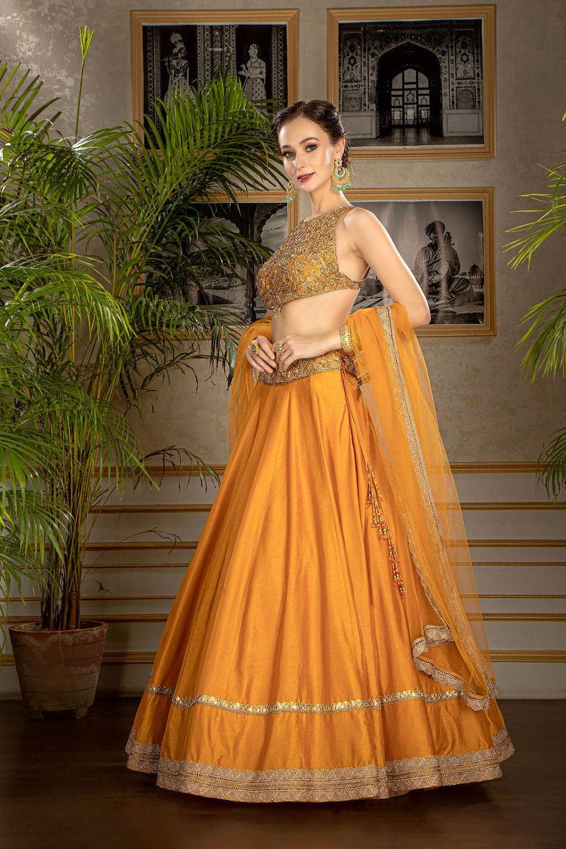 Rust orange embroidered top with Skirt
