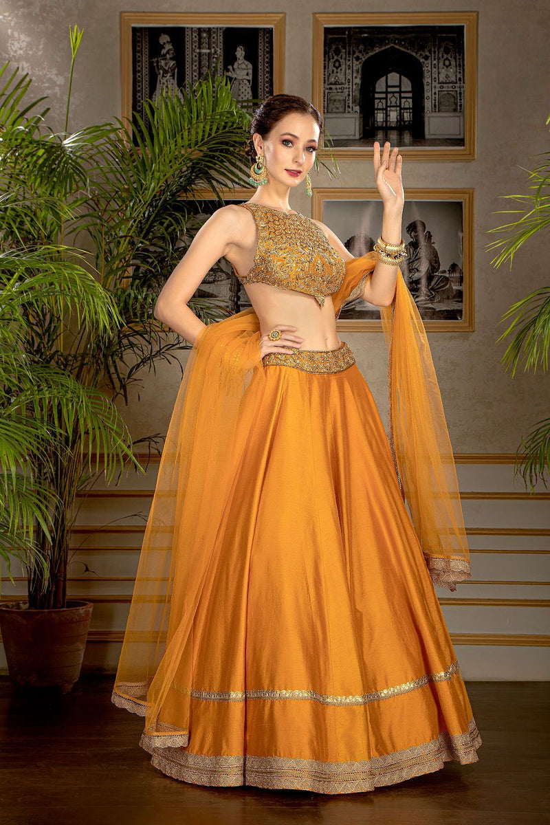 Rust orange embroidered top with Skirt