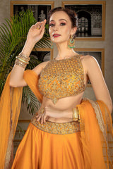 Rust orange embroidered top with Skirt