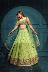 Golden blouse with green skirt