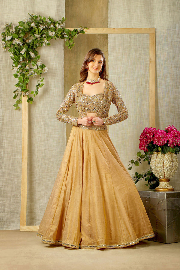 Stylish Mirror embroidered top, skirt with jacket