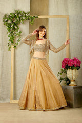Stylish Mirror embroidered top, skirt with jacket