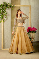 Stylish Mirror embroidered top, skirt with jacket