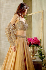 Stylish Mirror embroidered top, skirt with jacket