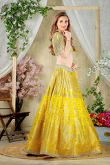 Yellow Embroidered top with Brocade Skirt