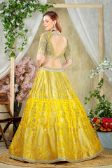 Yellow Embroidered top with Brocade Skirt