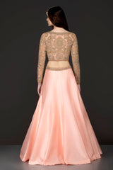 Peach Silk Skirt And Gold Net Top With Stone And Kathdana Embroidery