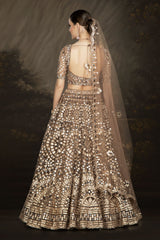 Brown Bridal with Mirrorwork