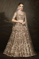 Brown Bridal with Mirrorwork