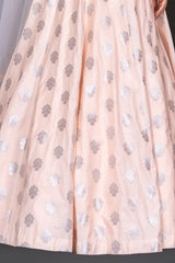 Peach Embroidered top with Skirt